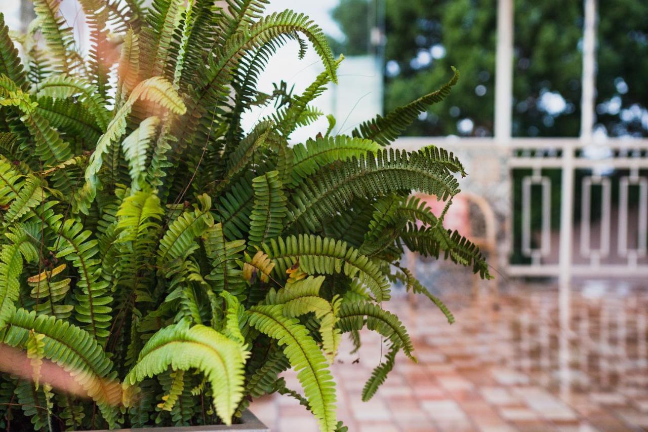 Pousada Aurora Alto Paraiso de Goias Ngoại thất bức ảnh